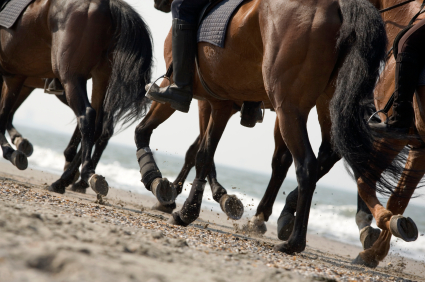 Travels on Horseback Travels on Horseback