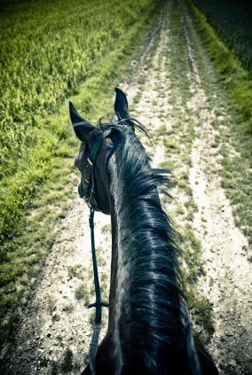 Travels on Horseback Travels on Horseback