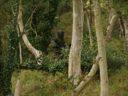 Cannington Park Paintball