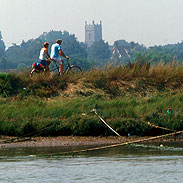 Cycle Breaks Cycle Breaks