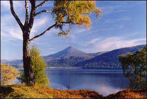 TransScotland TransScotland