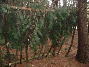 Moorlands Bushcraft Moorlands Bushcraft