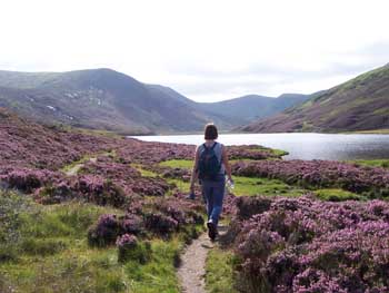 Glentrek Outdoor Activity Glentrek Outdoor Activity