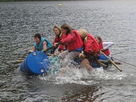 Shaggy Sheep Wales Shaggy Sheep Wales