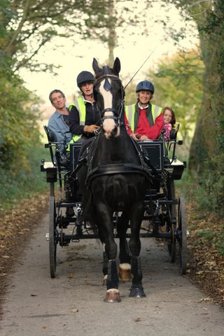 White Horse Trekking Centre White Horse Trekking Centre