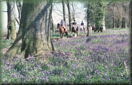 White Horse Trekking Centre White Horse Trekking Centre