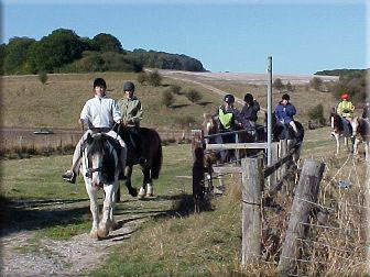 White Horse Trekking Centre White Horse Trekking Centre