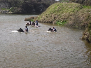 Cornish Riding Holidays Cornish Riding Holidays