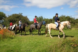 Cornish Riding Holidays Cornish Riding Holidays