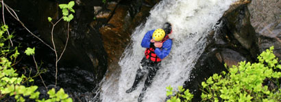 Ace Adventures Ace Adventures