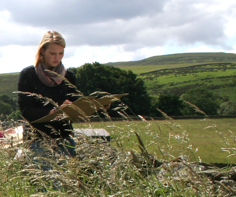 Pennine Painting Pennine Painting