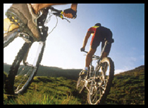 BECKs Training BECKs Training