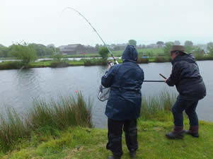 Smoky Jo's Smoky Jo's