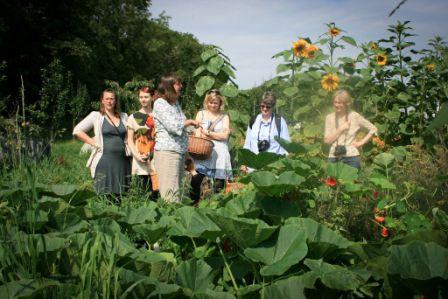 Demuths Vegetarian Cookery School Demuths Vegetarian Cookery School