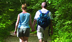 TLH Leisure Resort TLH Leisure Resort