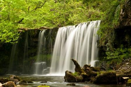 Image Seen Image Seen