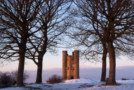 Image Seen Image Seen