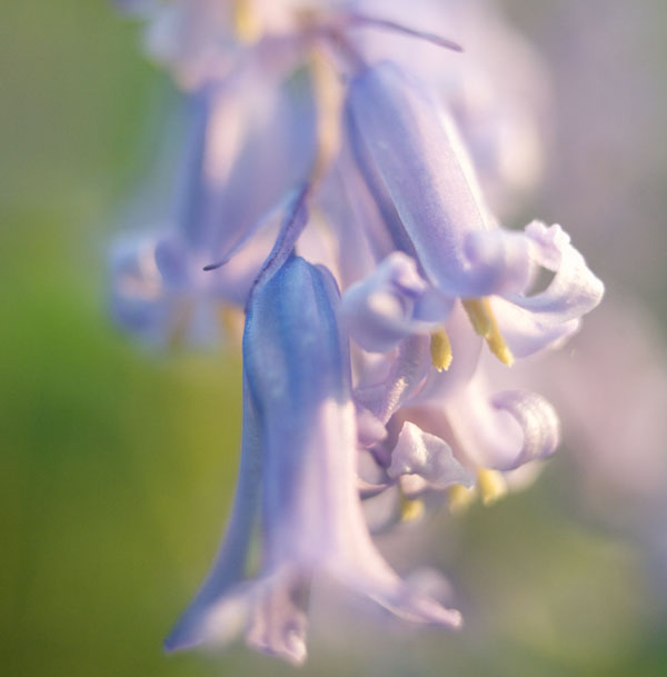 Gavin Parsons Photography Courses and Workshops Gavin Parsons Photography Courses and Workshops