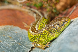 Gavin Parsons Photography Courses and Workshops Gavin Parsons Photography Courses and Workshops