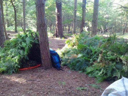 Valkyrie Pursuits Valkyrie Pursuits