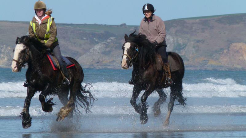 Nolton Stables Nolton Stables