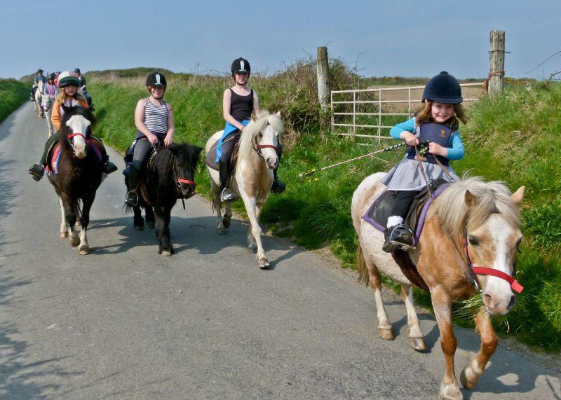 Nolton Stables Nolton Stables