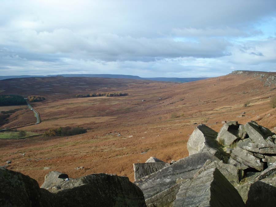 Wilderness-Development