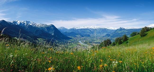 A Taste of France A Taste of France