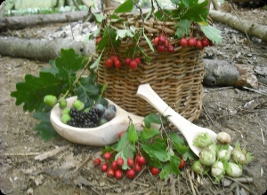 Hands on Bushcraft Hands on Bushcraft