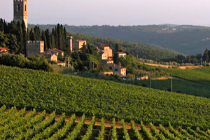 The International Kitchen The International Kitchen