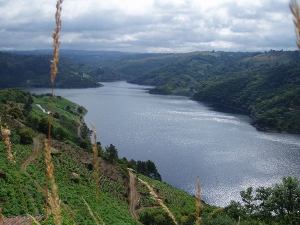 Gastronomic Galicia Gastronomic Galicia