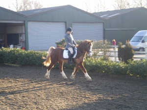 Drakes Farm Riding Centre Drakes Farm Riding Centre