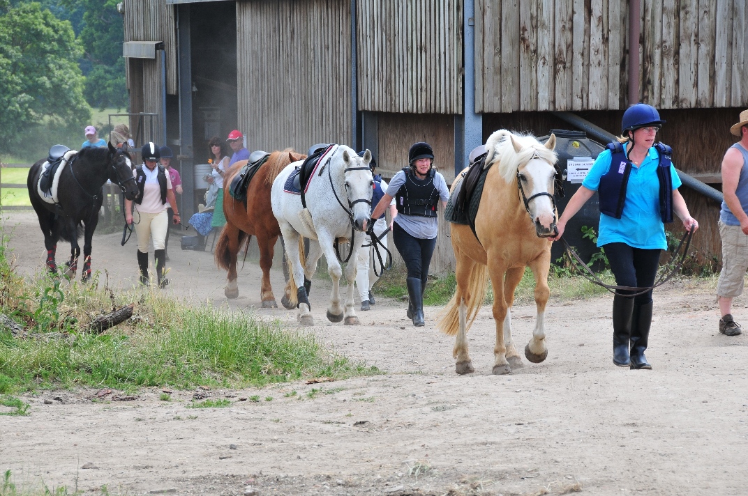 Drakes Farm Riding Centre Drakes Farm Riding Centre