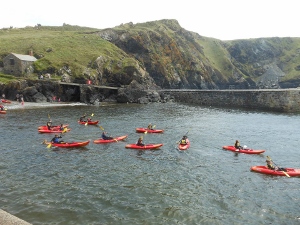 Lizard Adventure Lizard Adventure