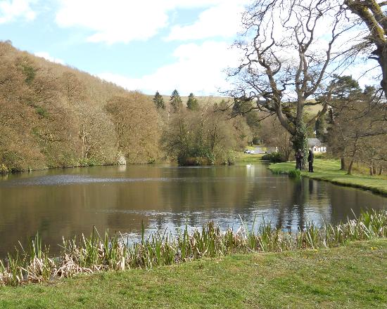 Llangoed Hall Llangoed Hall