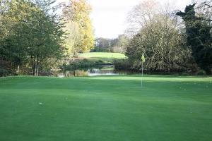 Manor of Groves Manor of Groves