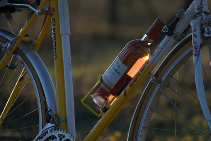 Wine Rides Wine Rides