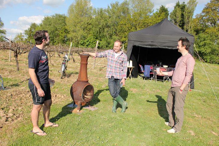 Wine Rides Wine Rides