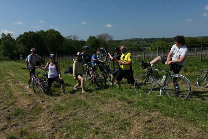 Wine Rides Wine Rides