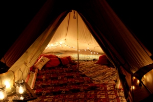 Wine Rides Wine Rides