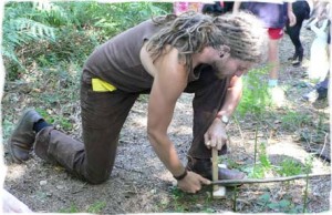 Walk With Trees Walk With Trees