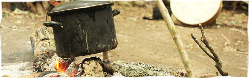 Walk With Trees Walk With Trees