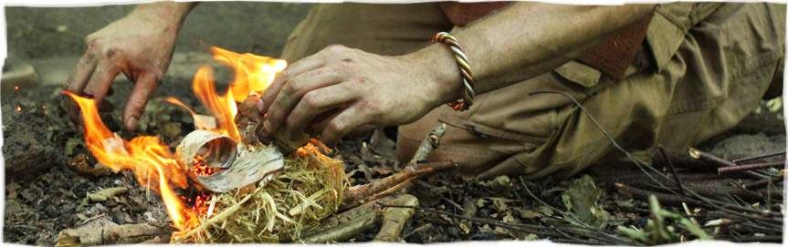 Walk With Trees Walk With Trees