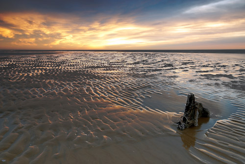 Arthouse Holidays Arthouse Holidays