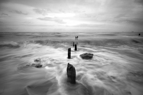 Arthouse Holidays Arthouse Holidays