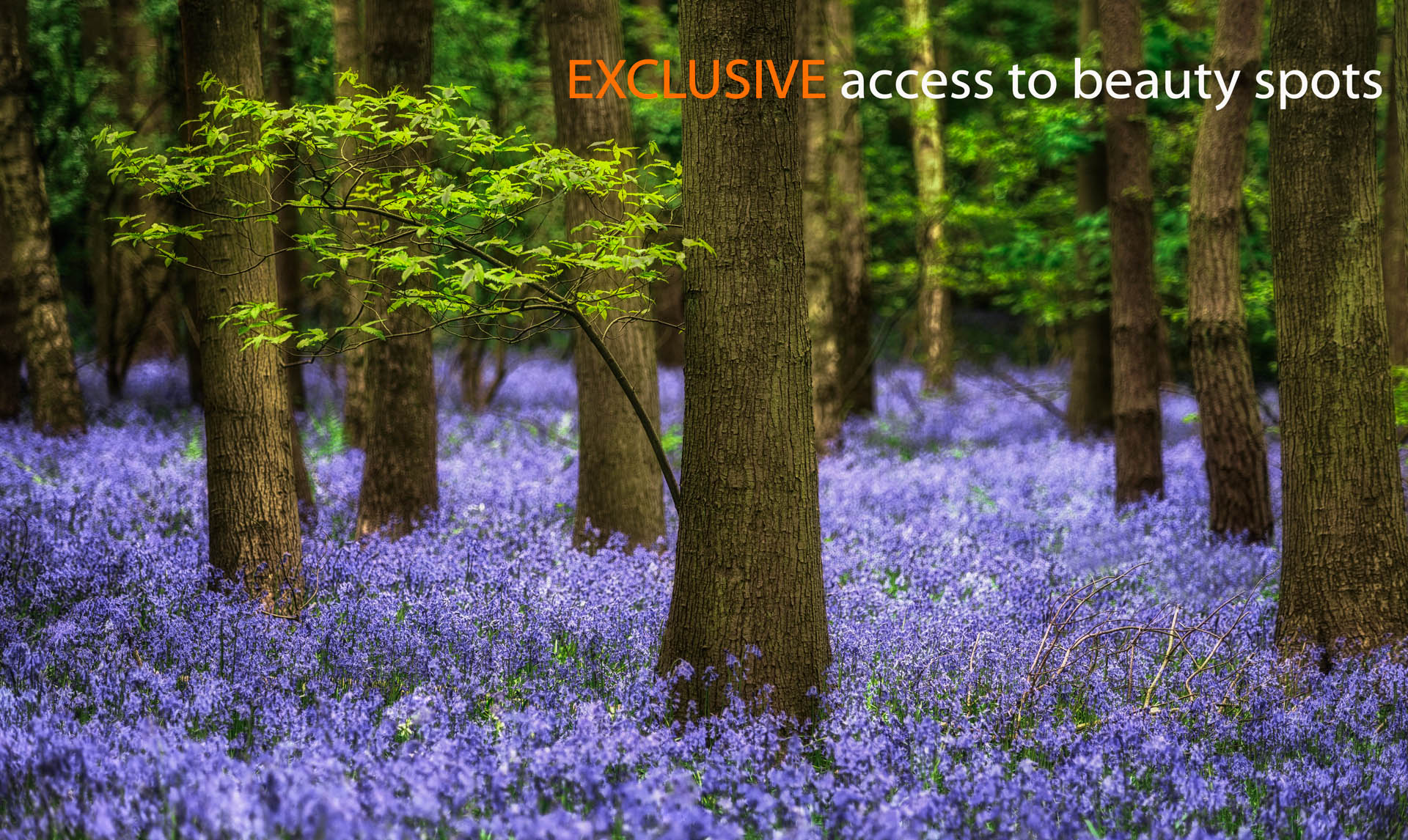 Alan Ranger Photography Alan Ranger Photography