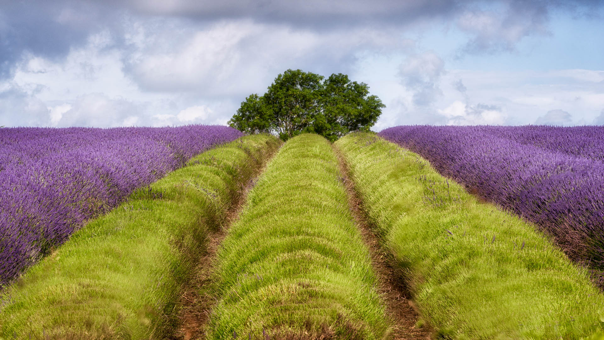 Alan Ranger Photography Alan Ranger Photography