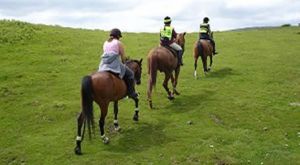 Pentre Riding Stables