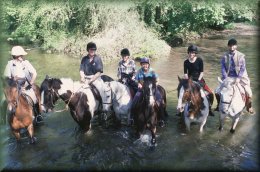 White Horse Trekking Centre