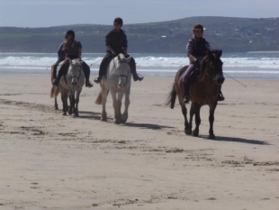 Cornish Riding Holidays